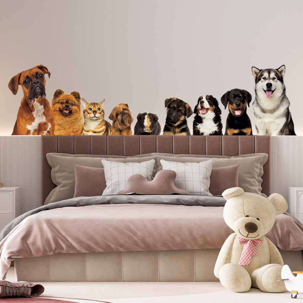 Home Cinema Wallpaper - C30# 9 Cute Cats And Dogs