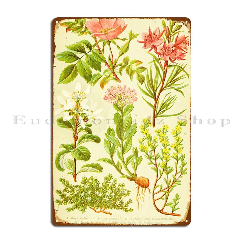 Hd Vintage Flowery Bouquet Des - Home Cinema Wall Design recension och pris