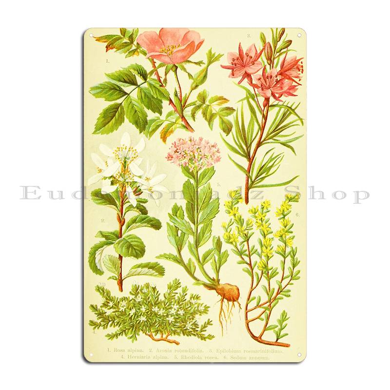 Hd Vintage Flowery Bouquet Des - Home Cinema Wall Design recension och pris
