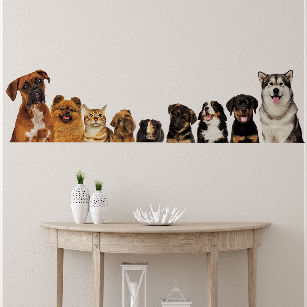 C30# 9 Cute Cats And Dogs Wall - Home Cinema Wallpaper recension och pris
