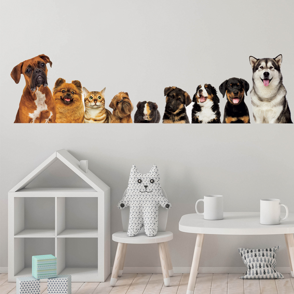 C30# 9 Cute Cats And Dogs Wall - Home Cinema Wallpaper recension och pris