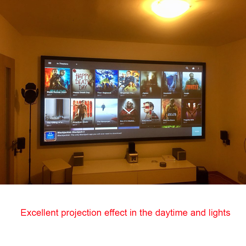 Salange Projector Screen,60 10 - Projector Screen 100 Inch recension och pris